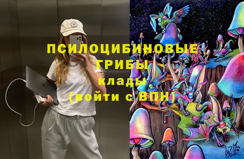 Псилоцибиновые грибы Psilocybe  Вуктыл 